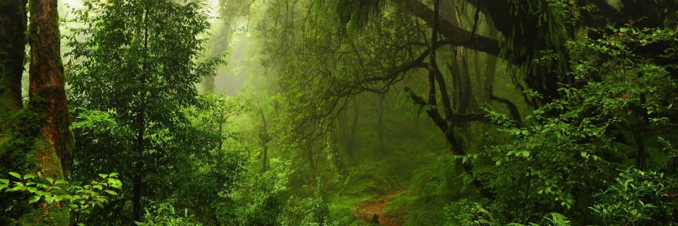 hallelijaaah's profile banner image