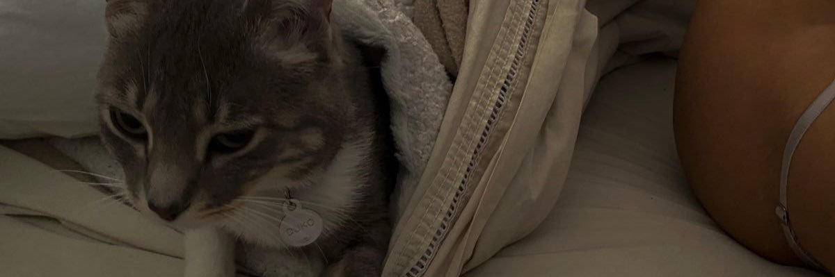 kitty Nicol🔥 banner