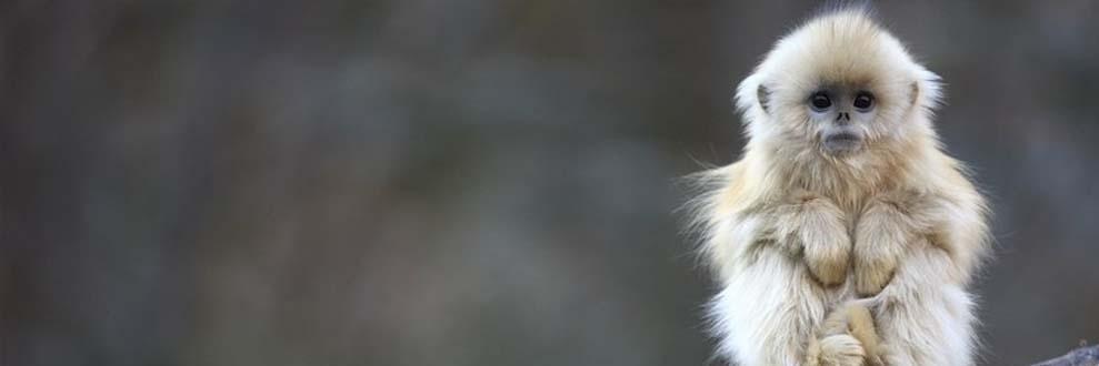 NSakib_'s profile banner image