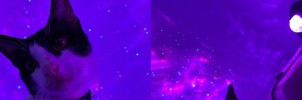 anggunel's profile banner image
