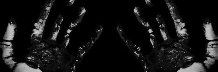 niryri's profile banner image