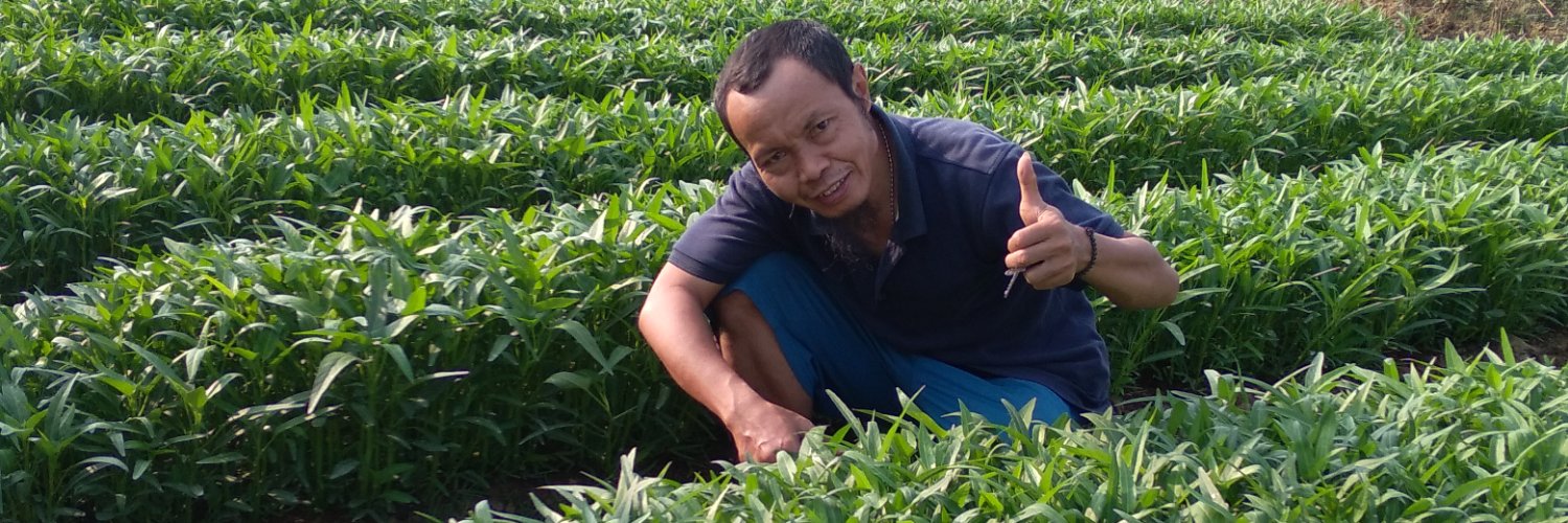 Admanaja's profile banner image