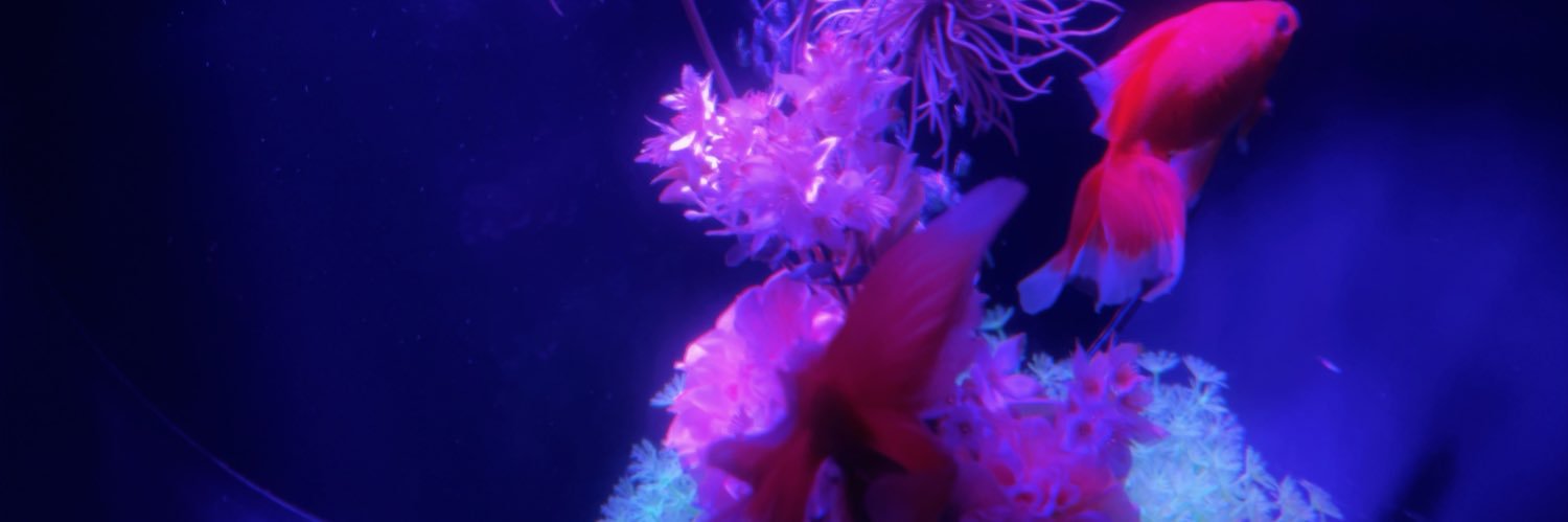あまもり banner