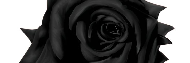 Rsque✶ banner