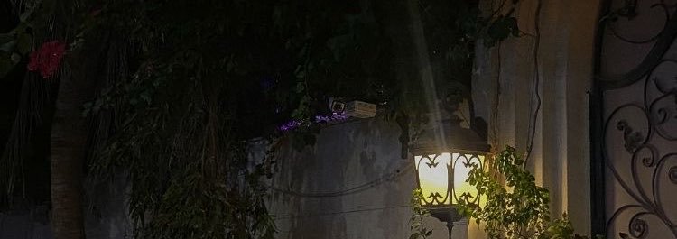 L9efn's profile banner image