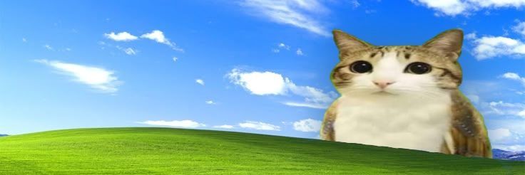 asdf_709's profile banner image