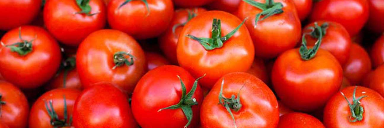 tomatoLayer_ banner