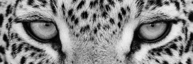 𝓙𝓸𝓻𝓲 🌩️ banner