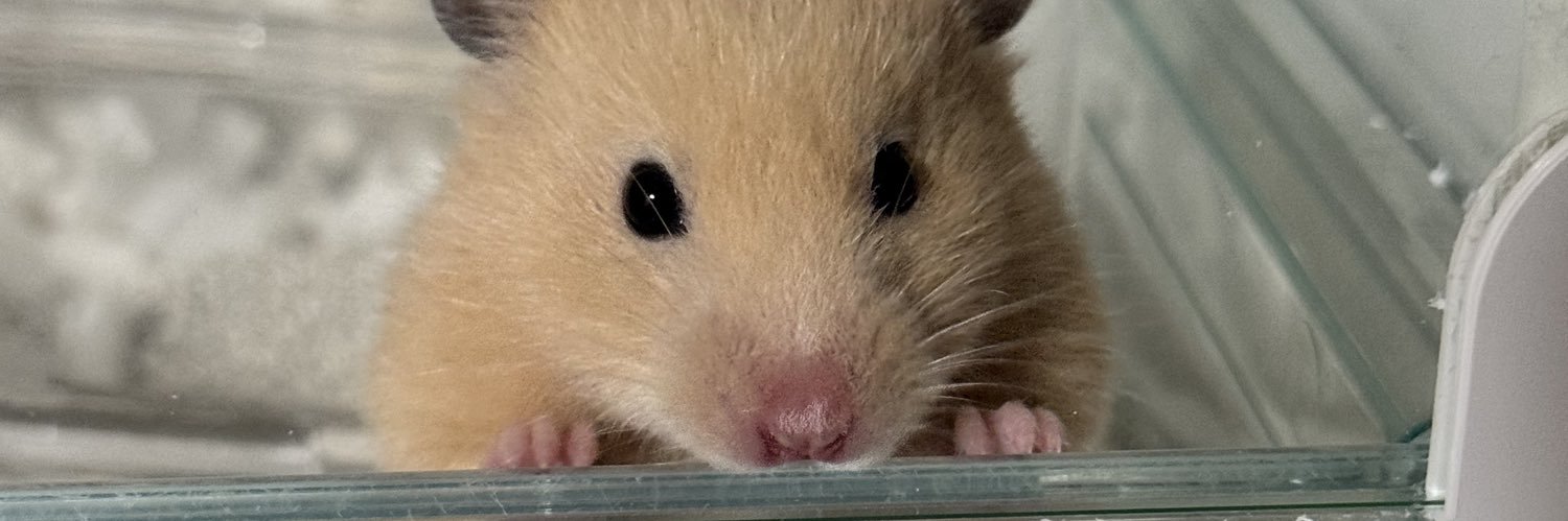 たむ┊︎AIで稼ぐ22歳 banner