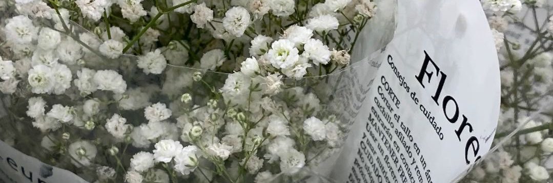 설유화 banner