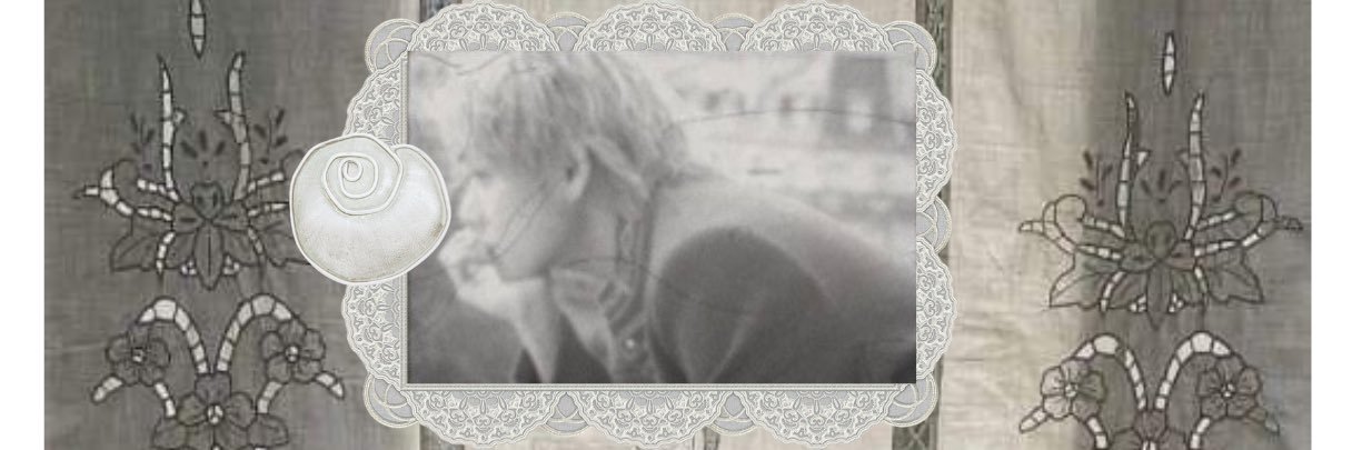 ari banner