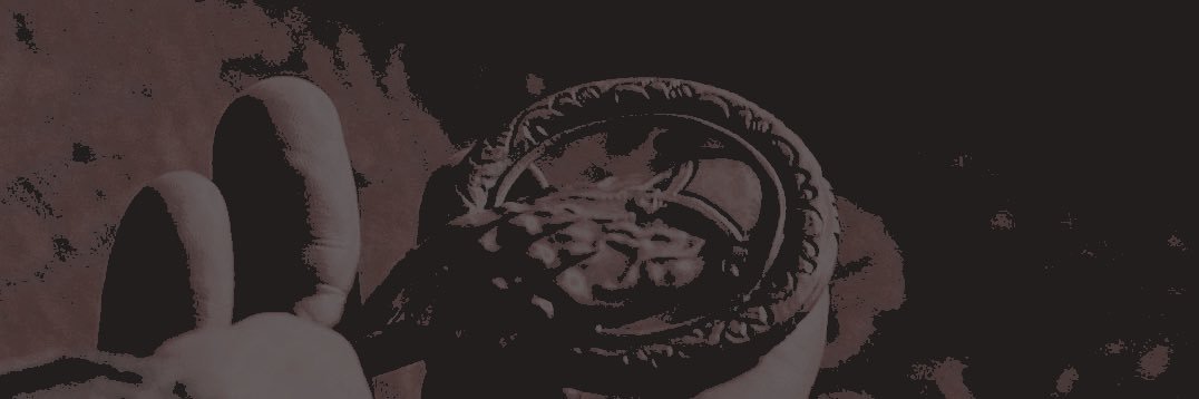 𝐵𝙰𝙴𝙻𝙾𝚁 banner