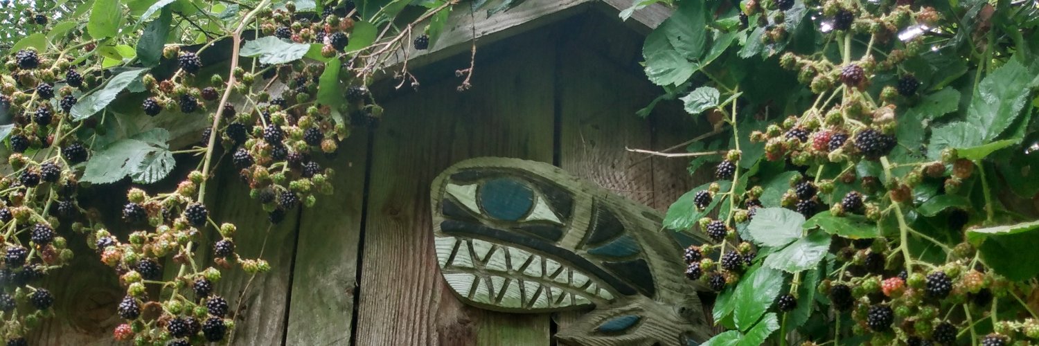 blackskagit's profile banner image