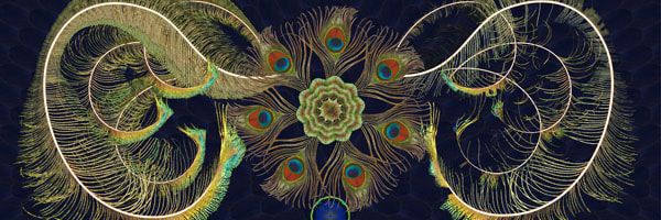 𝙎𝙡𝙖𝙫𝙚 𝙤𝙛 𝙙𝙚𝙨𝙩𝙞𝙣𝙮 banner