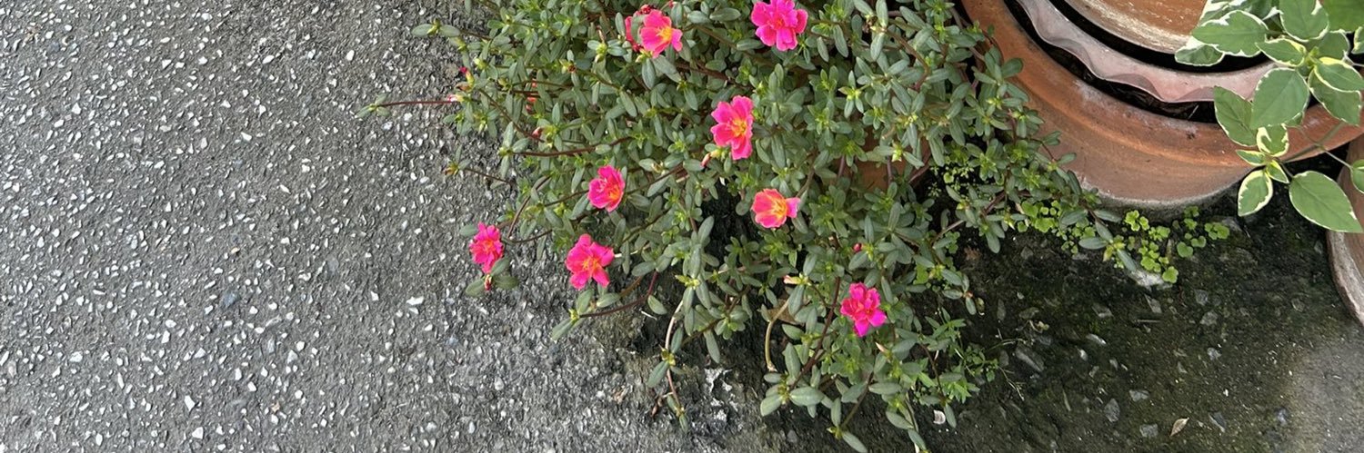 margaret banner