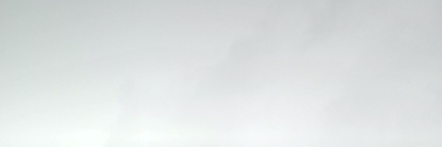 Tapibala banner