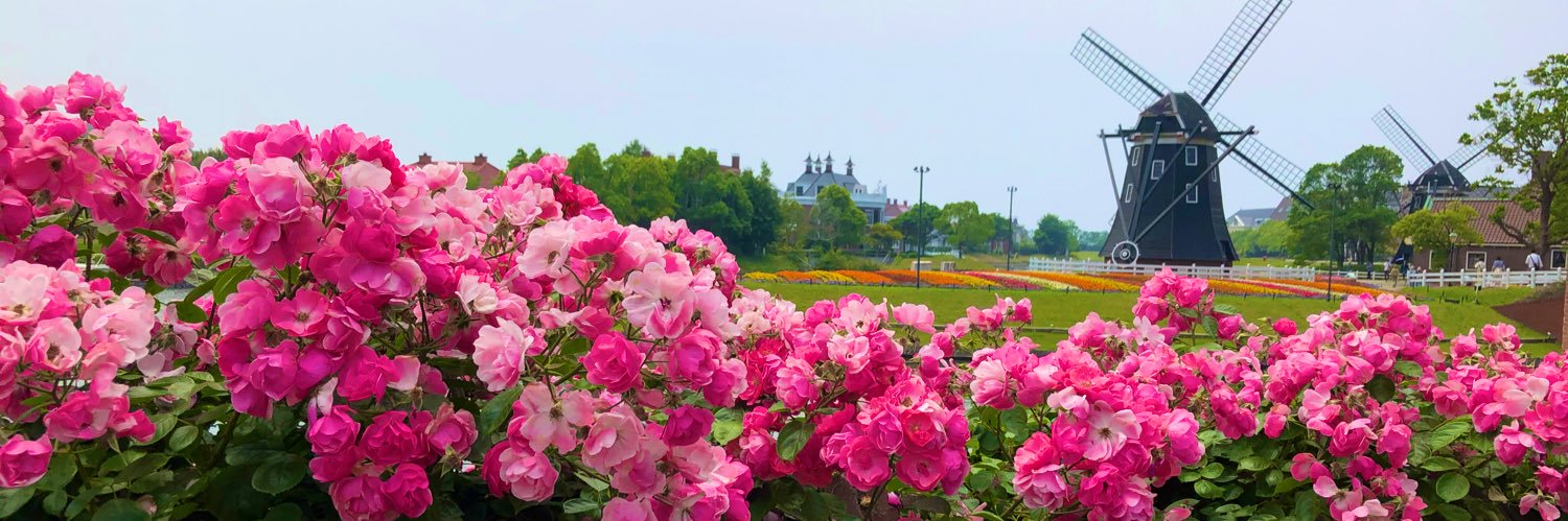 573Lunaria's profile banner image