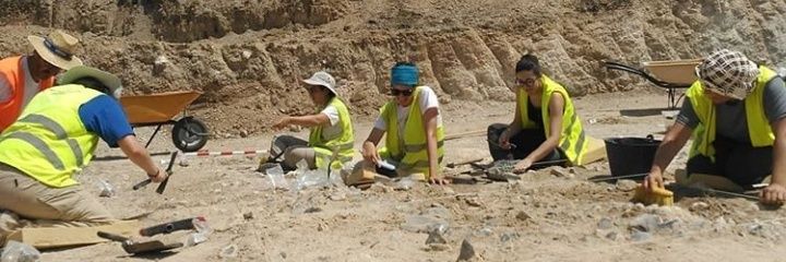 Conchi Torres Navas banner