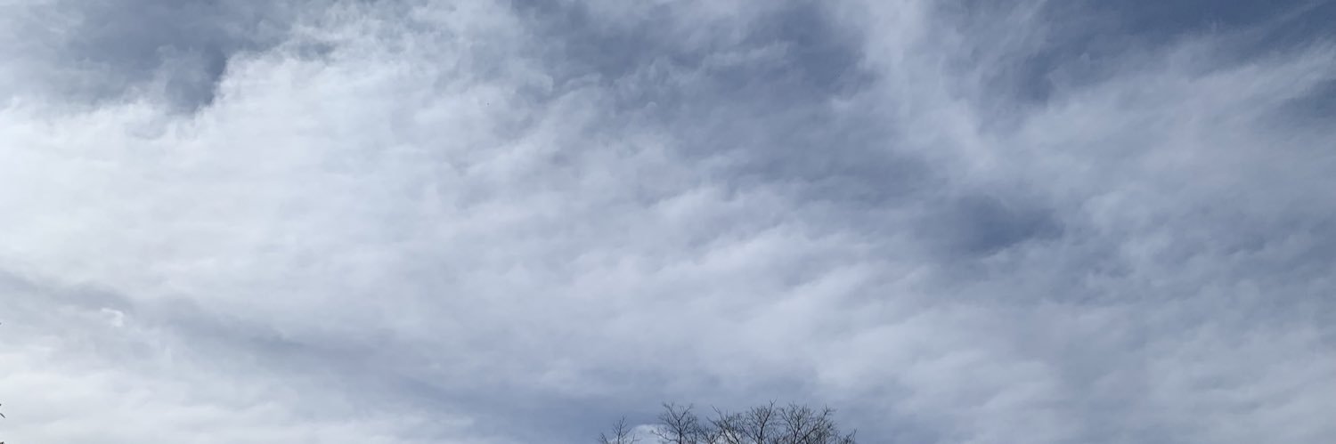 driaIves's profile banner image
