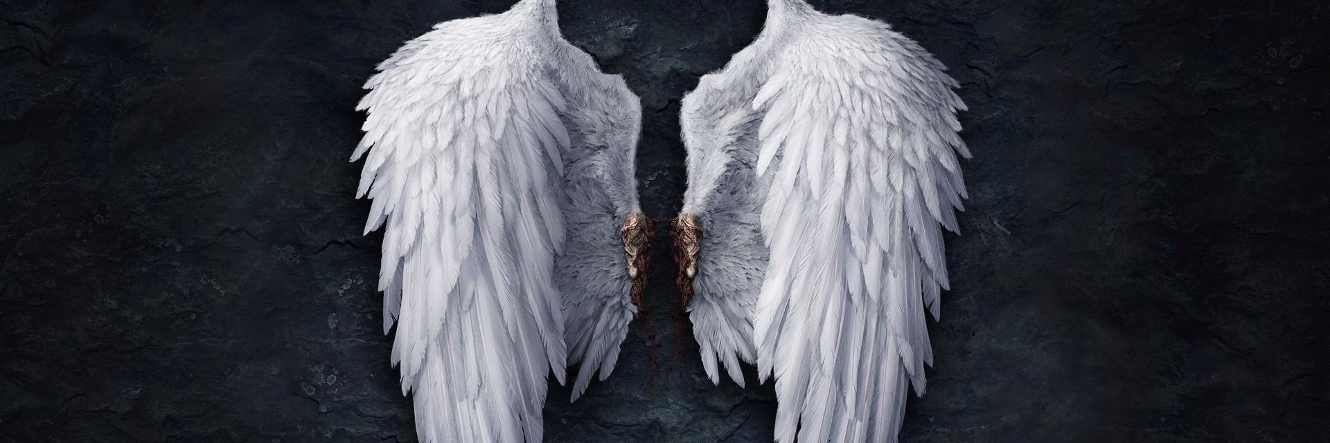 Nax_Vel's profile banner image