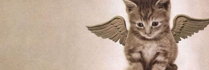 leniiims's profile banner image