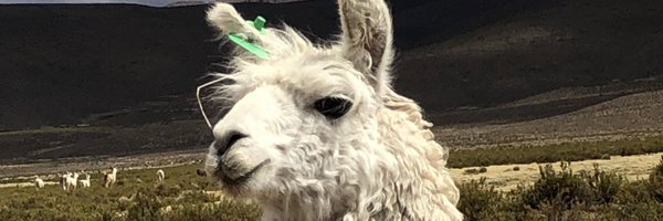 fpelatan Profile Banner