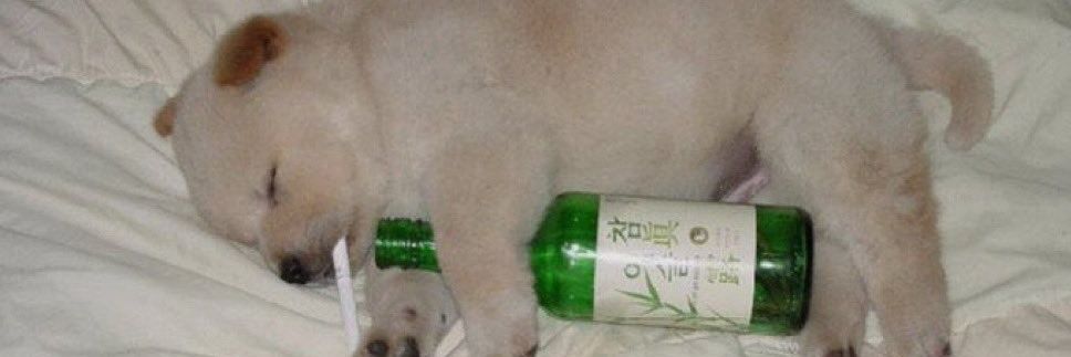 centipede of #shedtwt banner