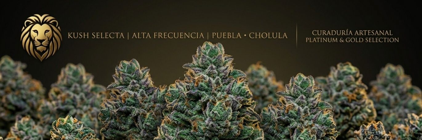 Kush Selecta 420 banner