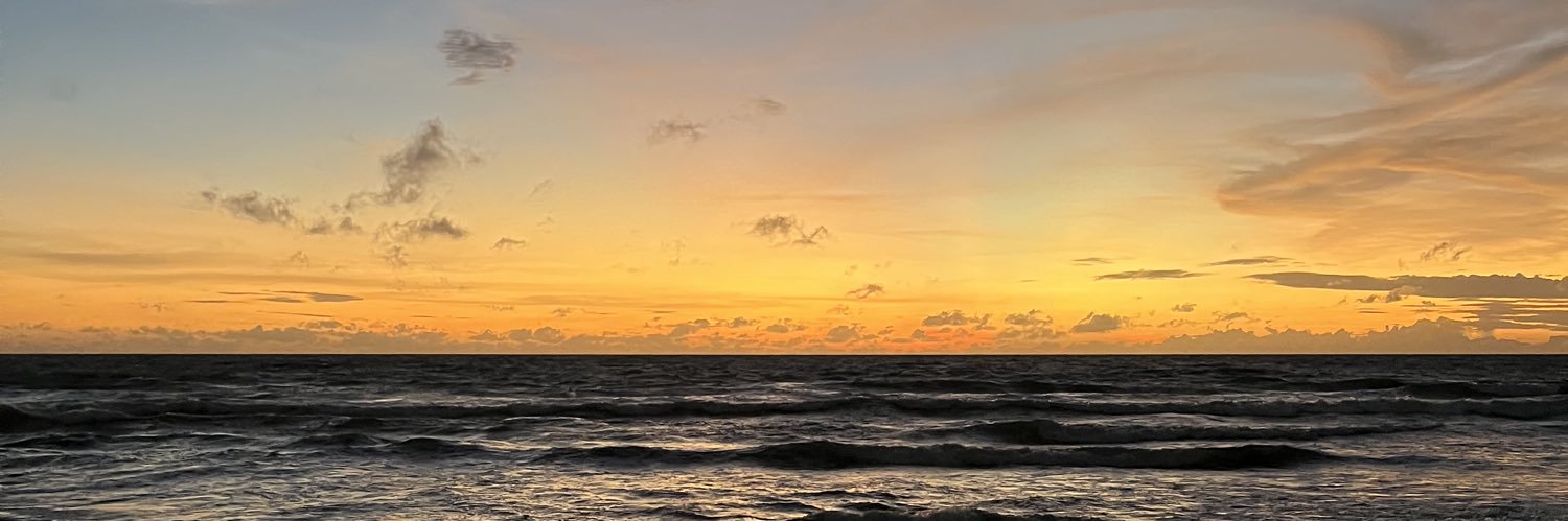 狐さん 🦊 banner