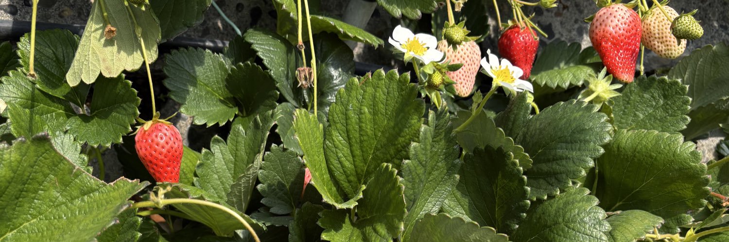 みん🍫‎ banner