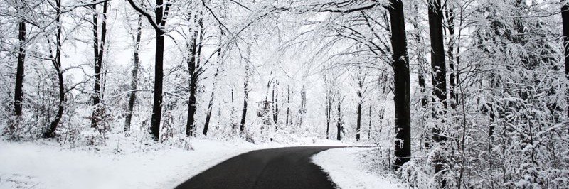 FidelisFriend's profile banner image