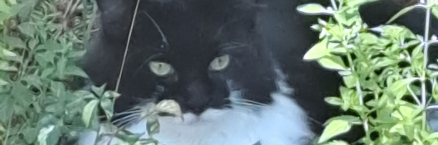 TexasForever59's profile banner image