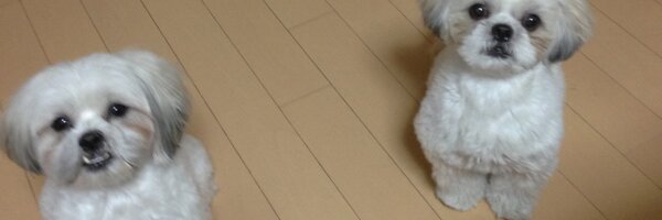 E12KAD Profile Banner