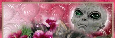 🌵 aye banner