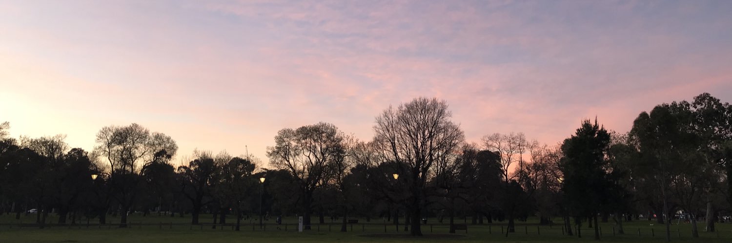 Vanessa Toholka banner