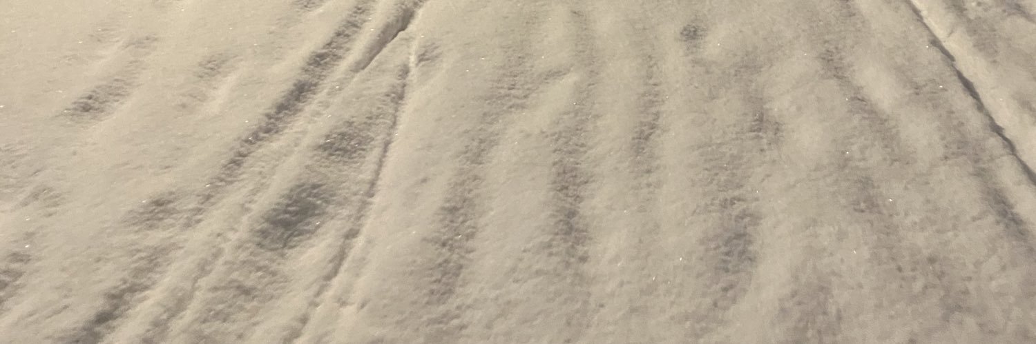 원펀치미키 banner