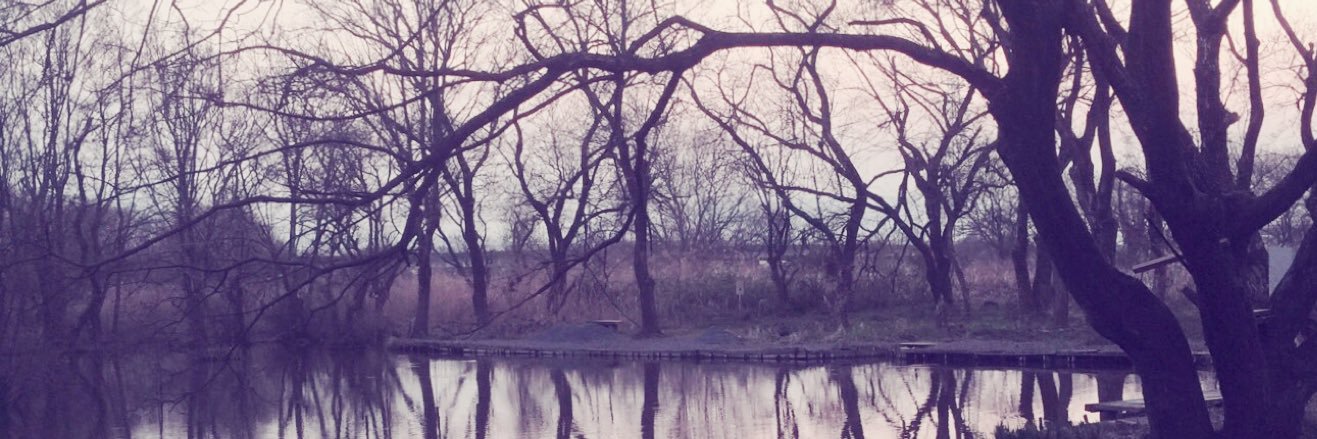 shee___p's profile banner image