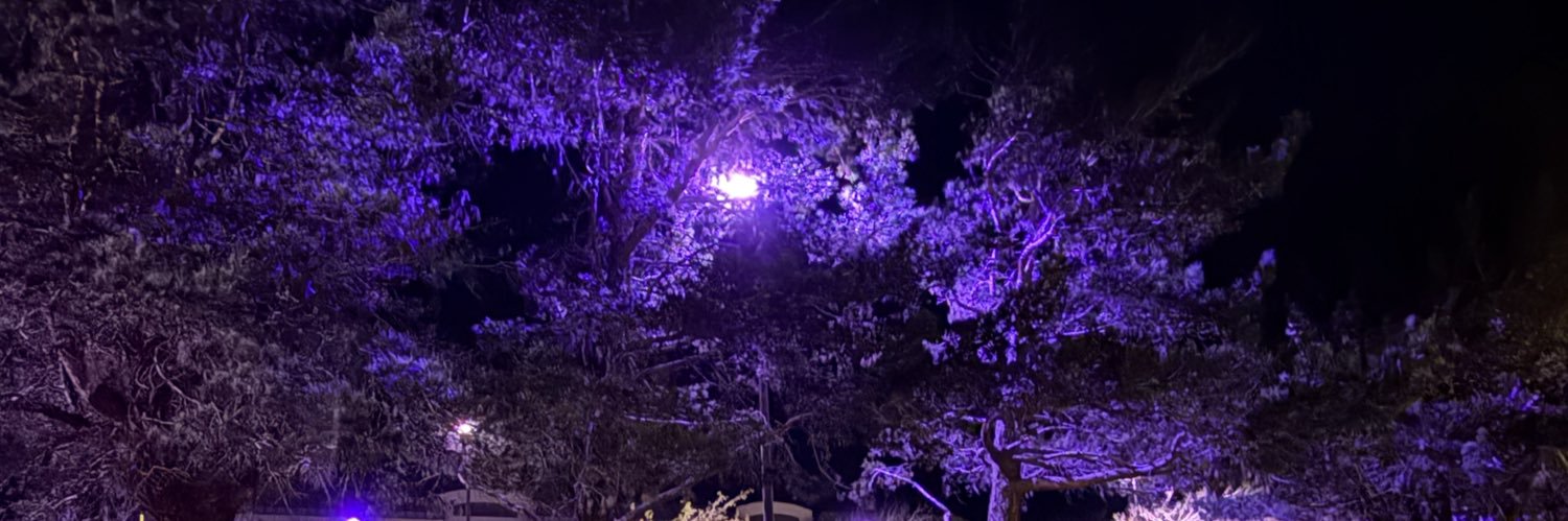 Theory.2.Truth banner