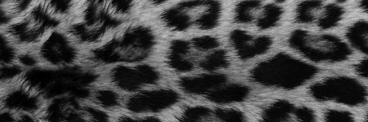 Pearlyin🐻‍❄️ banner