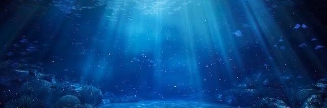 Li_jellyfish's profile banner image