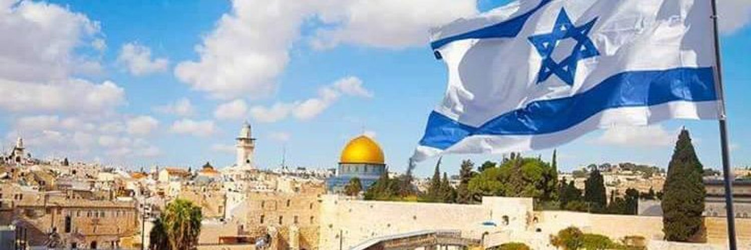 Israel Defence Forces (Parody) banner