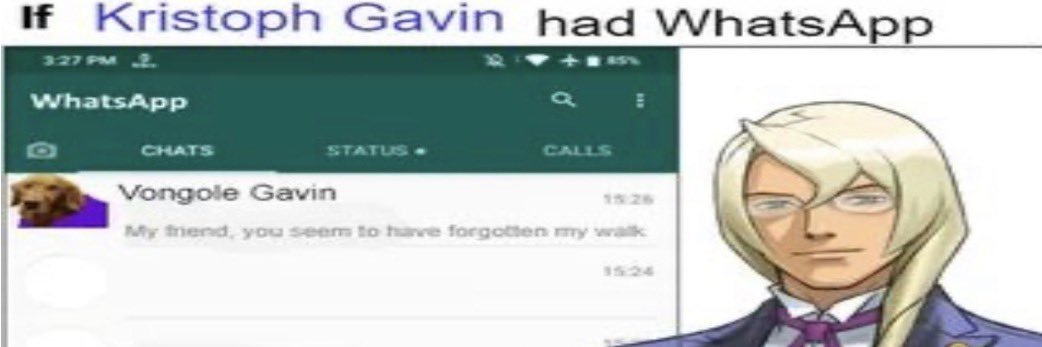 Kristoph Gavin banner