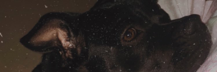 biahanna_'s profile banner image