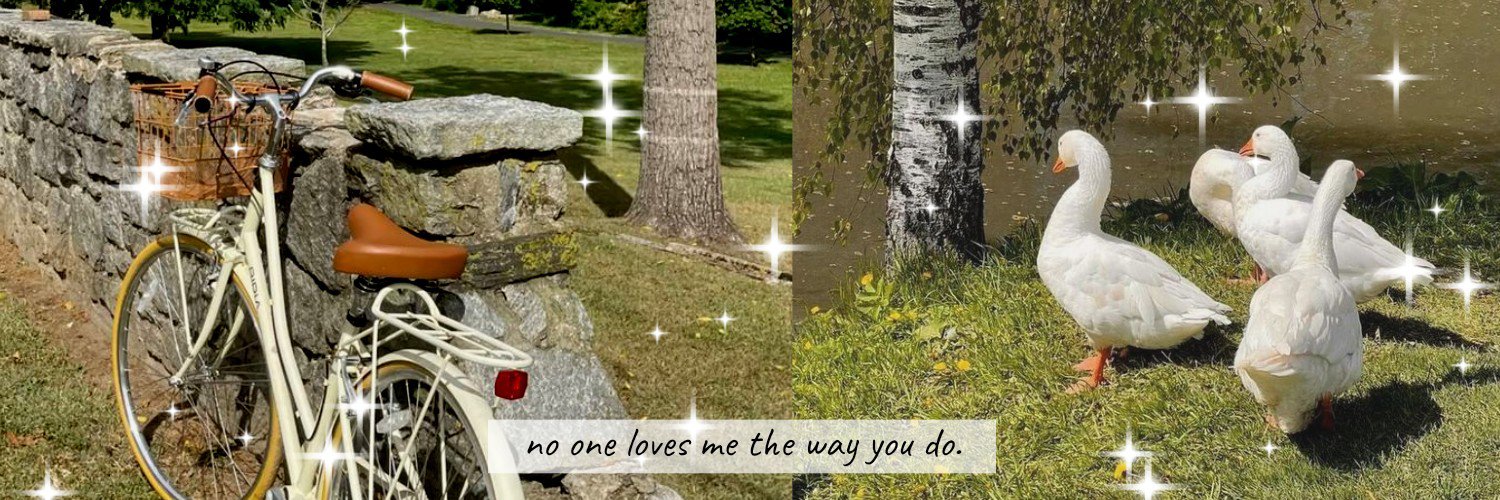 miaa🐾 order via wasap banner