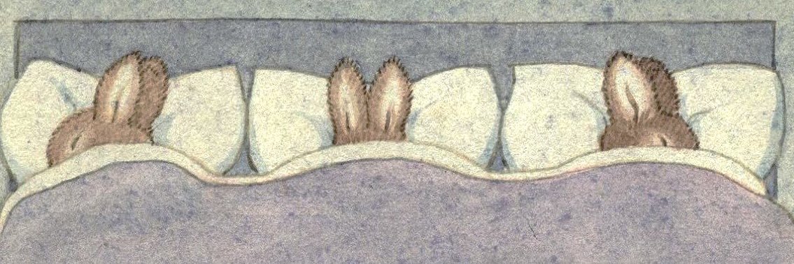wan banner