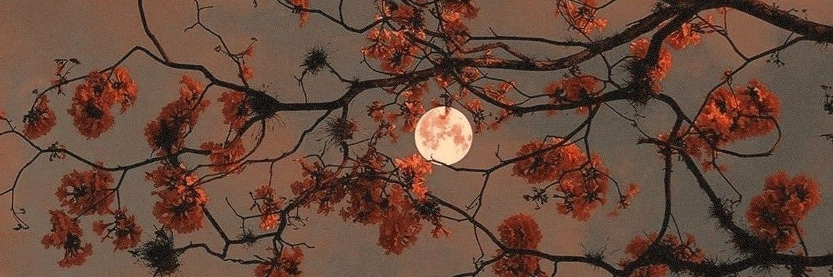 saandyg_'s profile banner image
