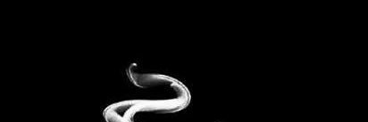 sync_sizzle's profile banner image