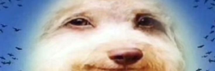 krih banner