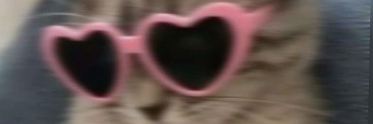 loveth ♡✨🐻 banner