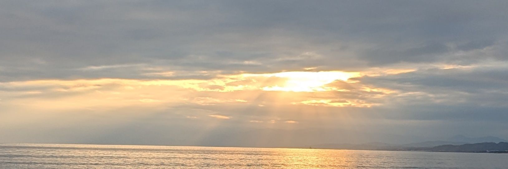 クラゲ banner